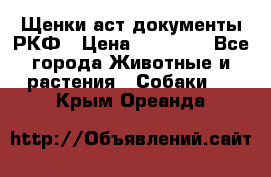 Щенки аст документы РКФ › Цена ­ 15 000 - Все города Животные и растения » Собаки   . Крым,Ореанда